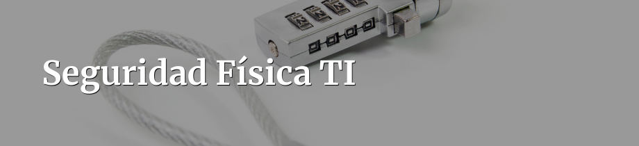 Seguridad Física TI Seguridad Física TI